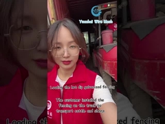 장식용 와이어 메쉬 삼각 울타리 패널 고강도 맞춤형 색상