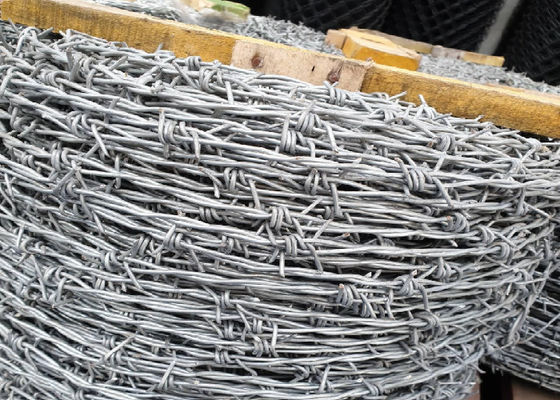 Galvanized High Carbon Steel Barbed Wire for Perimeter Security