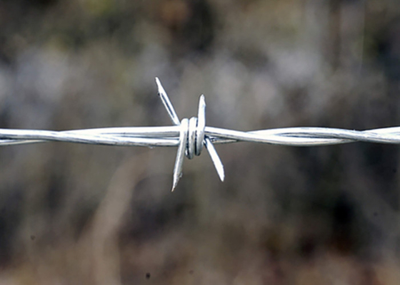 Hot Dip Galvanized Iron Barbed Wire Farm Boundary 12 X 14 Gauge 20kg / Roll